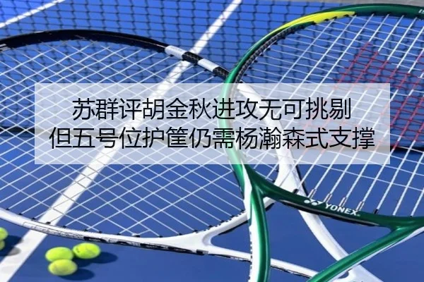 苏群评胡金秋进攻无可挑剔 但五号位护筐仍需杨瀚森式支撑